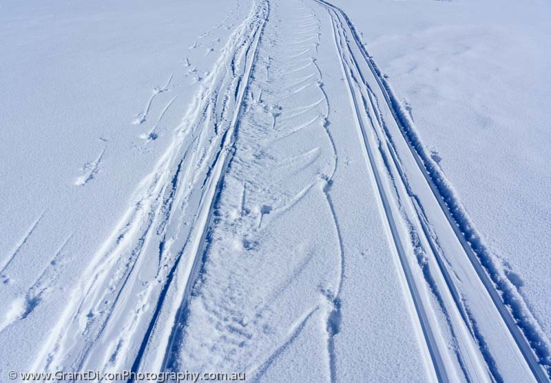 image of Ski & sled tracks