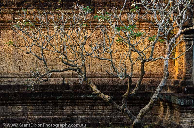 image of Banteay Samre wall