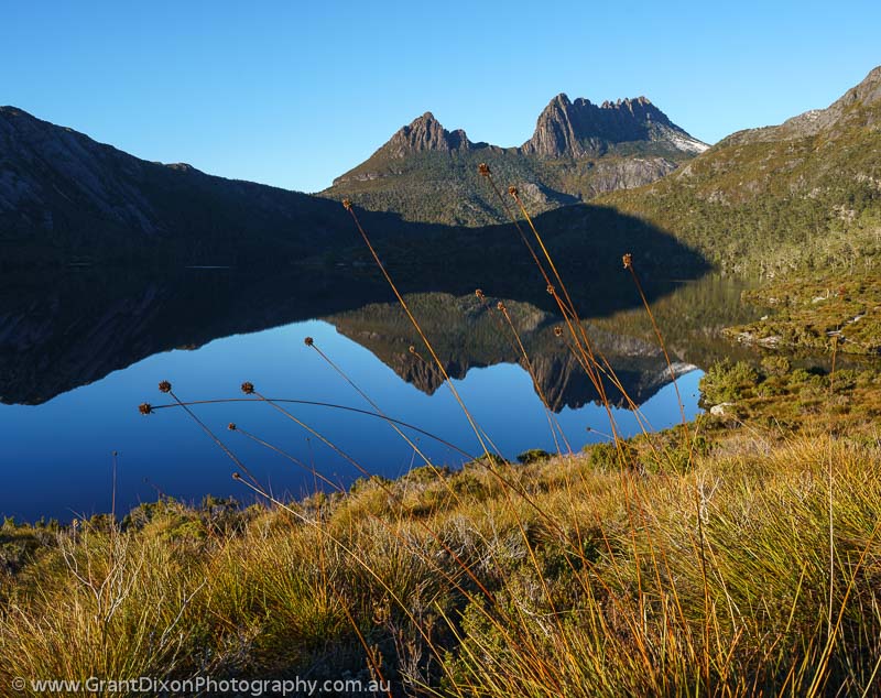 image of Cradle Mtn & Buttongrass