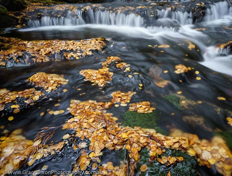 image of Autumn cascade 2