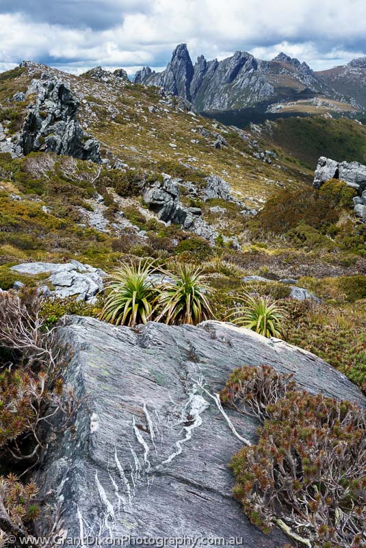 image of Eastern Arthurs alpine landscape