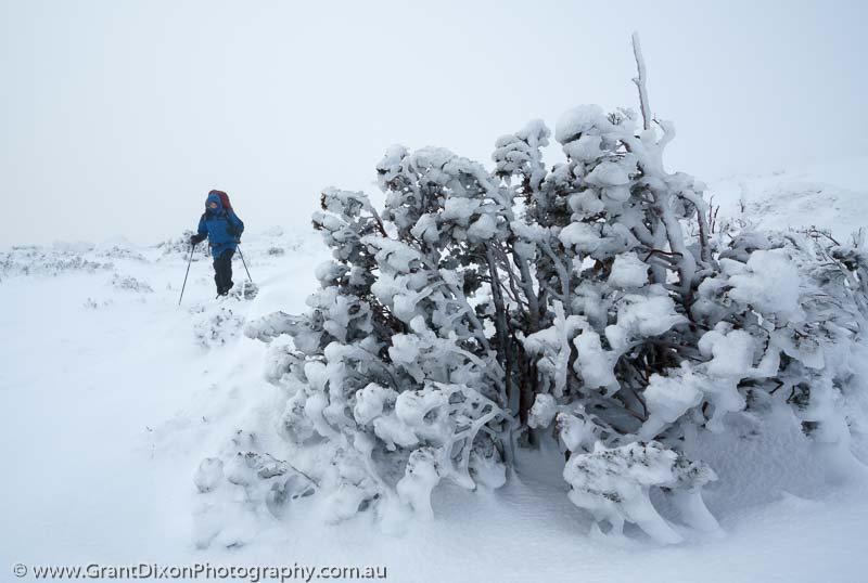 image of Highland winter walker
