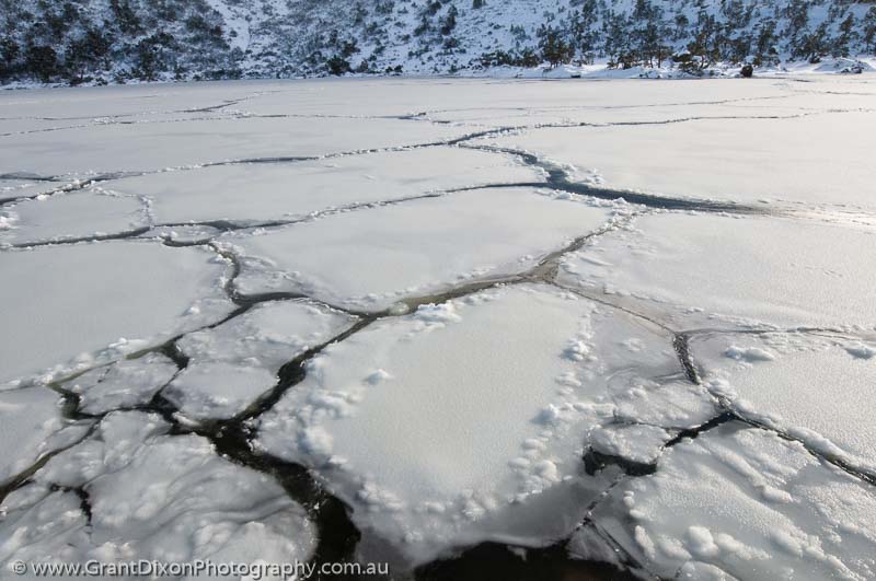 image of Newdegate ice floes