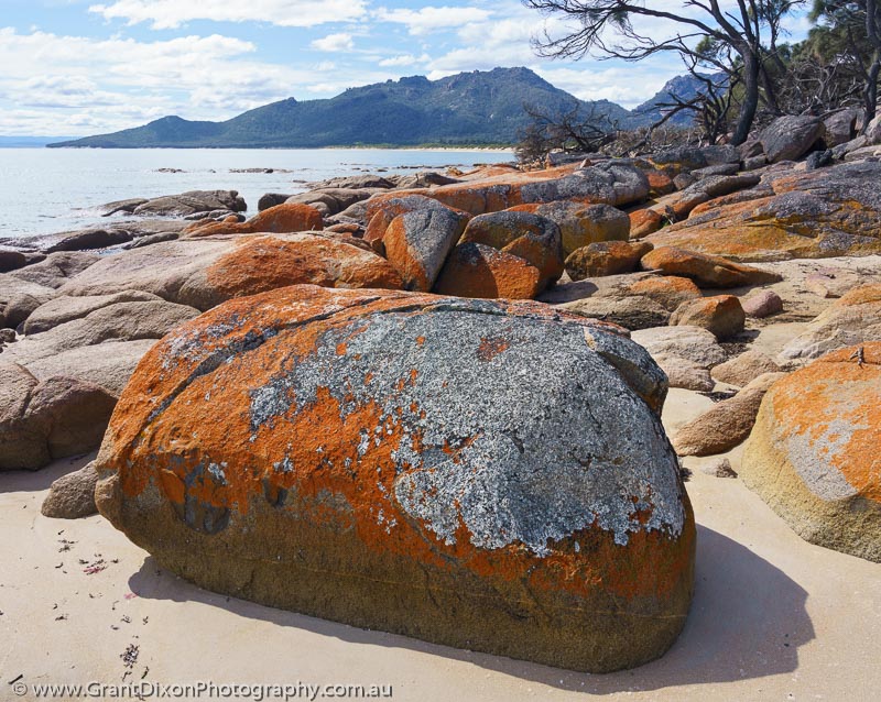 image of Hazards Beach boulder