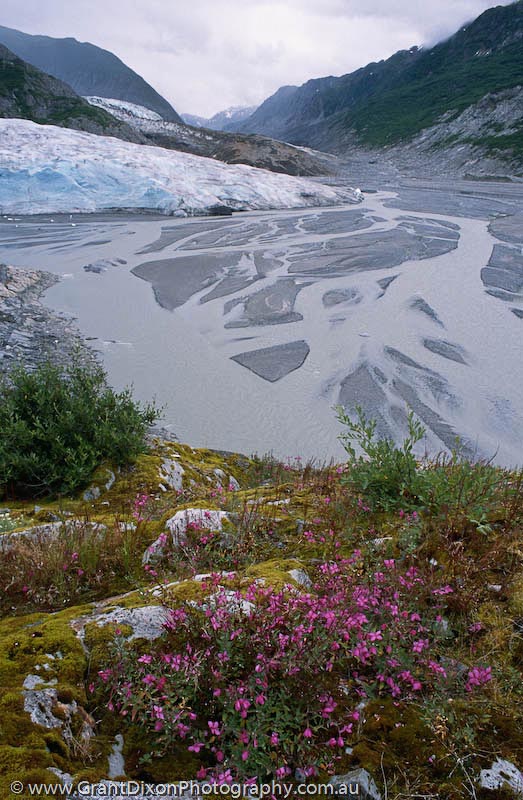 image of Riggs Glacier stream 1