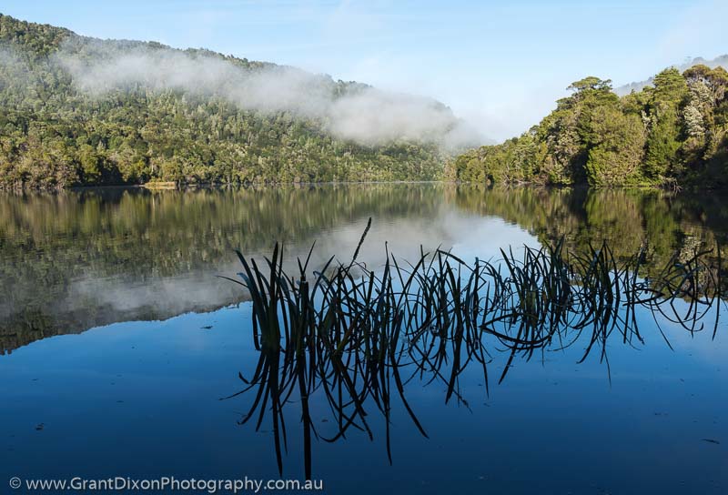 image of Gordon River early morning  2