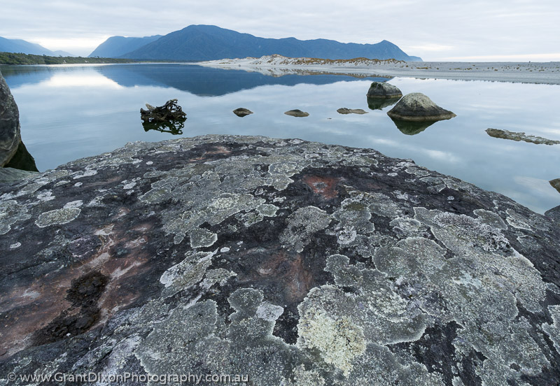 image of Martins Bay lichen