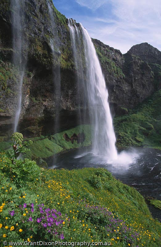 image of Falls and flowers