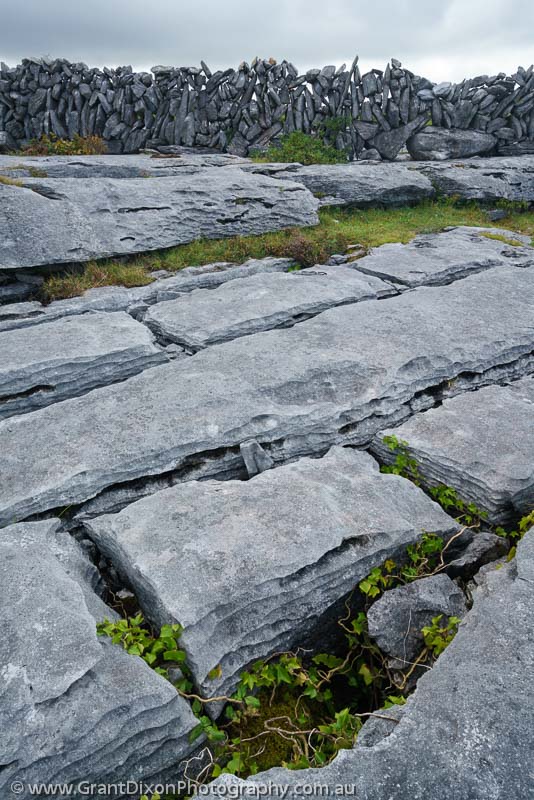 image of Burren grikes & stone wall