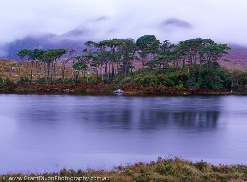 image of Connemara dawn 1