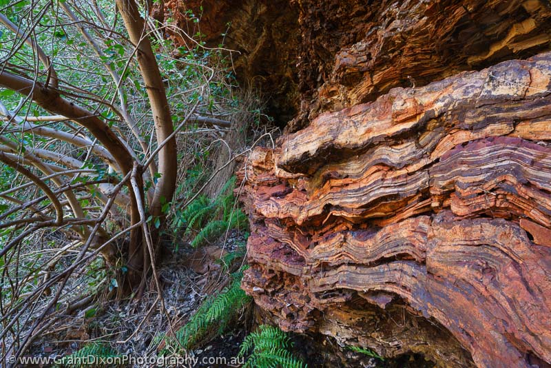 image of Banded Iron Formation & Fig tree