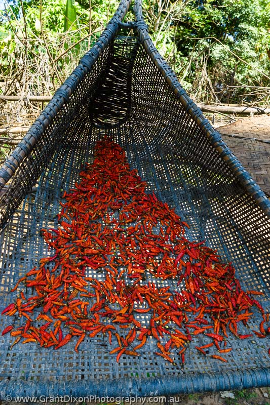 image of Drying chillies