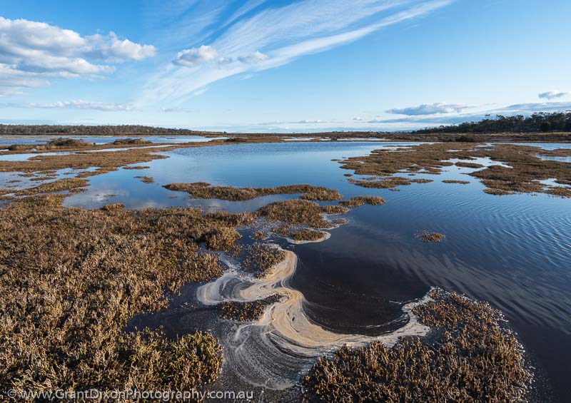 image of Long Point flooded saltmarsh cirrus