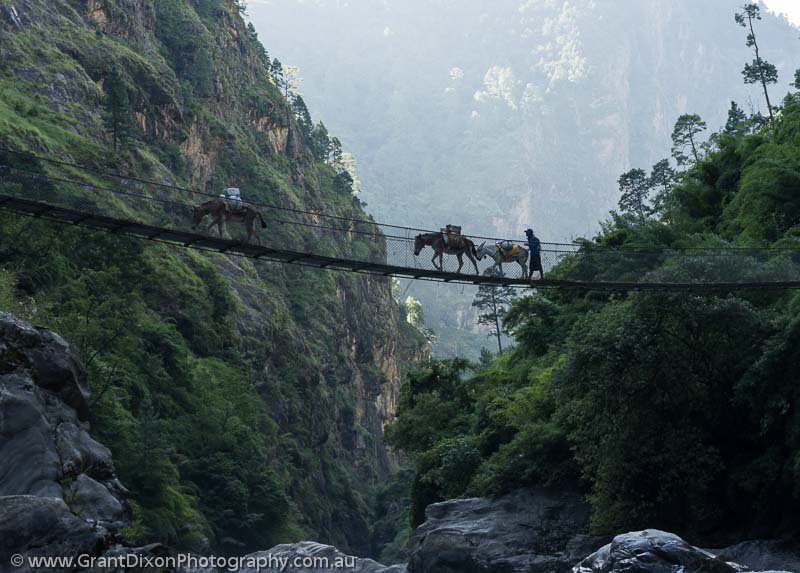 image of Nyak Phedi suspension bridge