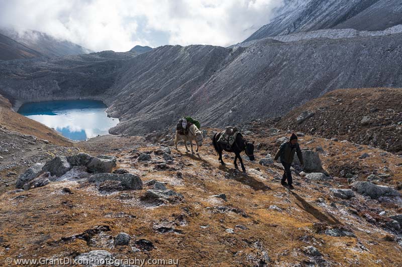 image of Larkya Glacier horseman