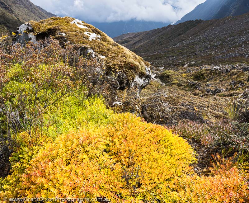 image of Bimthang autumn colour 5