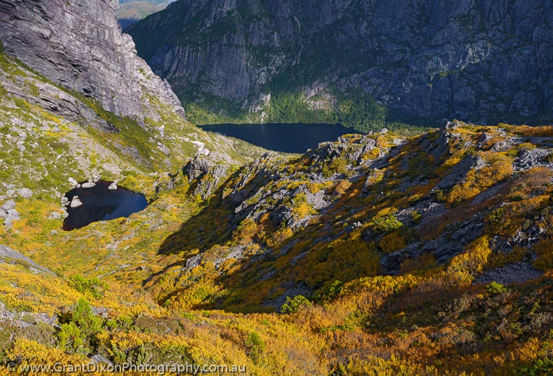 image of Murchison fagus & glacial lakes
