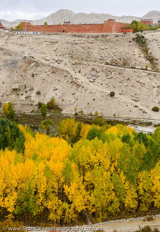 image of Lo Manthang Autumn