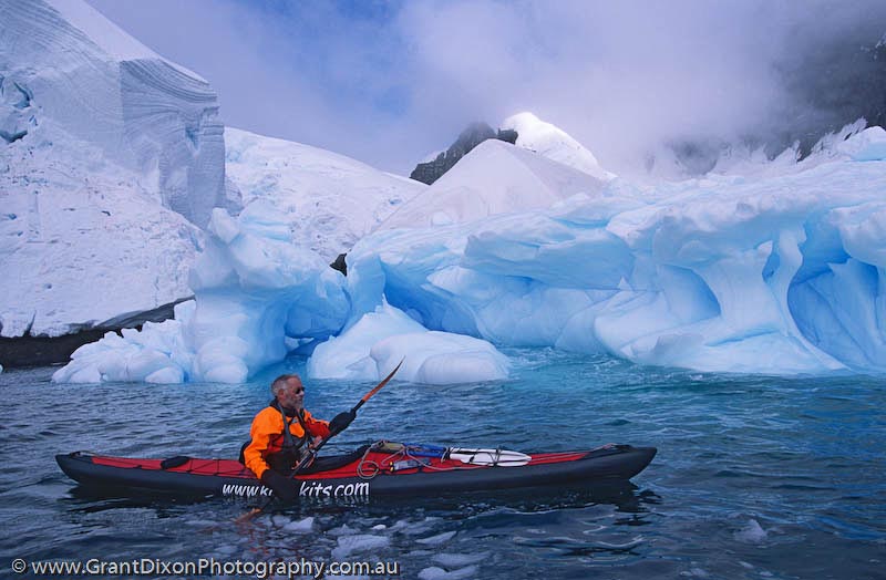 image of Antarctic paddler 1
