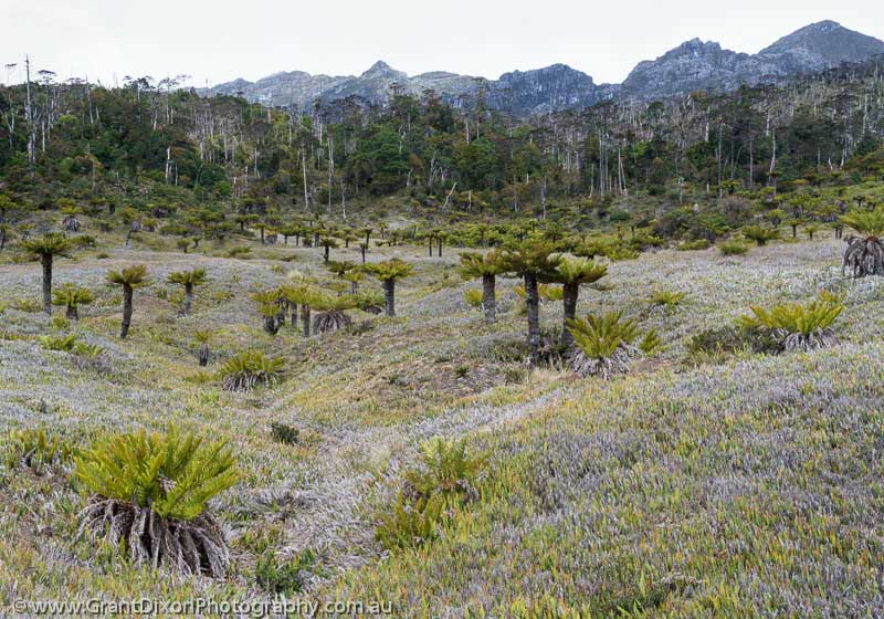 image of Dokfuma grasslands 3