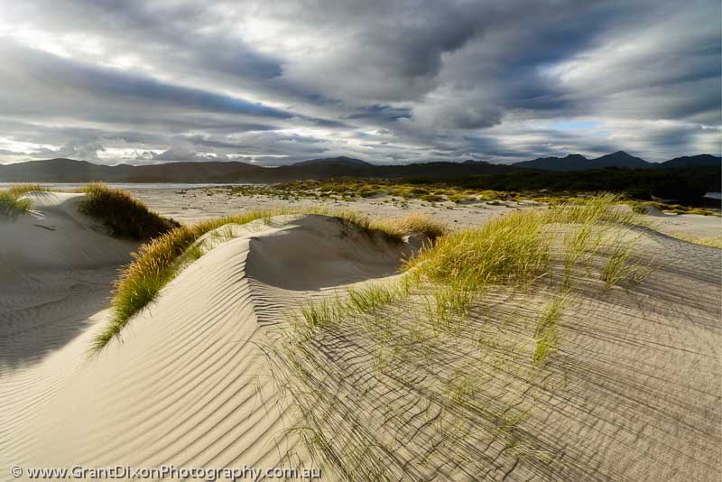 image of Louisa Bay dune