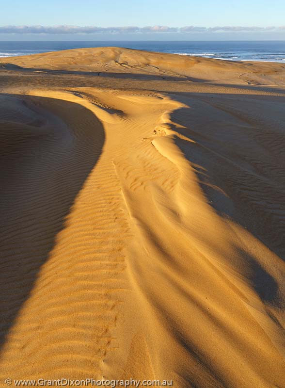 image of Tarkine dune sunrise 1