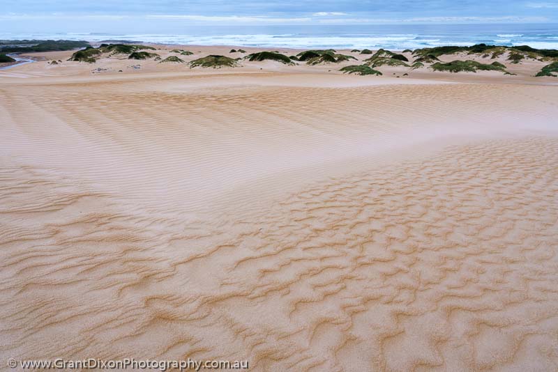image of Tarkine two-tone dune