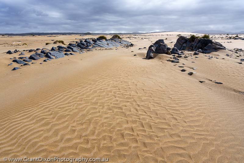 image of Tarkine sand ripples