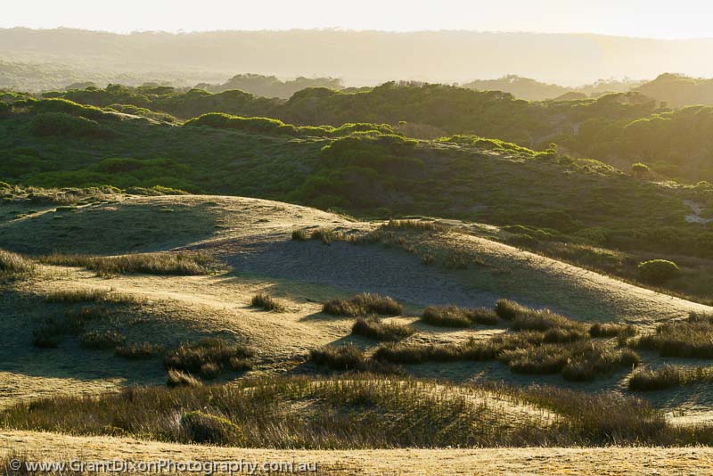 image of Old Tarkine dunes