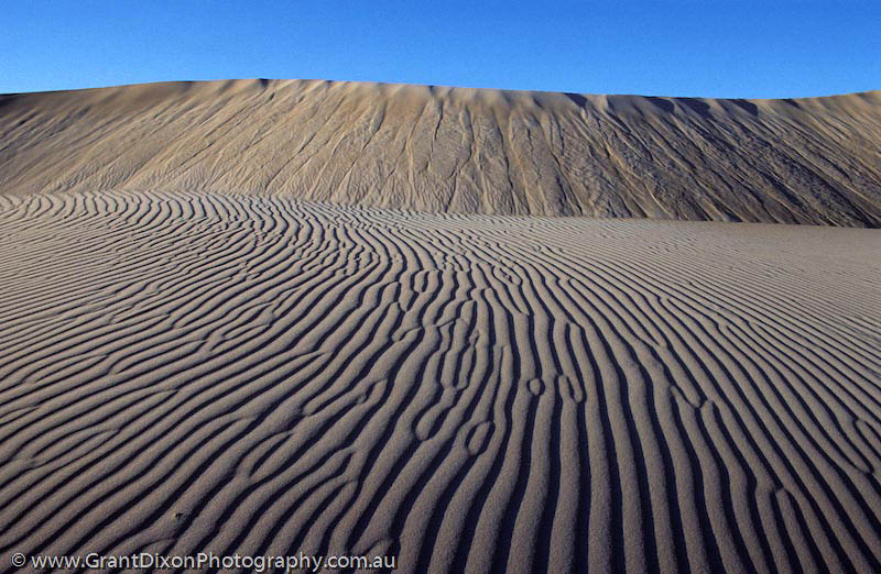 image of Dune ripples