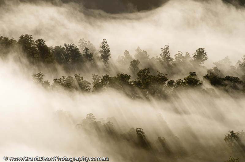 image of Weld forest mist 4