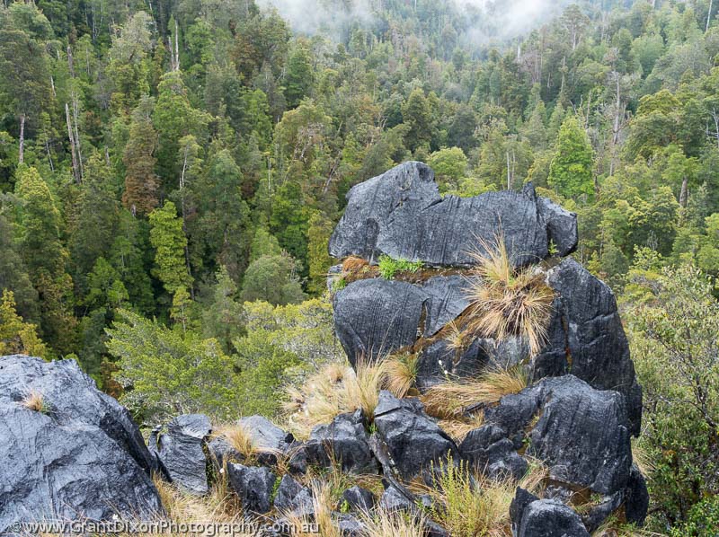 image of Weld dolomite tor & rainforest