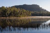 AUSTRALIA, NSW, Blue Mountains, Wollemi National Park. Dunns Swamp, Greater Blue Mountains World Heritage Area.