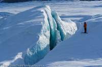 Sermilik Glacier, Sirmilik National Park, Bylot Island, Nunavut, Canada