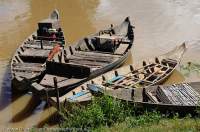 CAMBODIA, Siem Reap. Moored boats at Kompong Phluk, Tonle Sap lake.