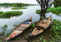 CAMBODIA, Siem Reap, Boats amongst hyacinth, at edge of Tonle Sap lake.