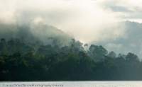Rising dawn cloud over forest, Koh Kok Pao (river), Koh Kong, Cambodia.