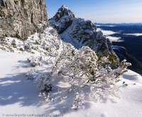 Frenchmans Cap, Tasmanian Wilderness World Heritage Area.