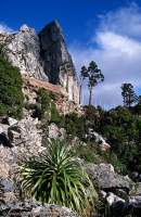 AUSTRALIA, Tasmania, Franklin-Gordon Wild Rivers National Park, World Heritage Area.