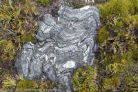 Folded quartzite & alpine vegetation, Southwest National Park, Tasmanian Wilderness World Heritage Area