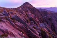 Denison Range, Tasmanian Wilderness World Heritage Area.