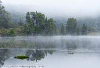 Mist at Lake Ewart, Eldon Range, Tasmanian Wilderness World Heritage Area