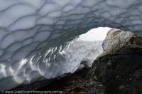 NEW ZEALAND, Fiordland National Park. Arch in thawing snowdrift, Merrie Range.