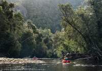 Packrafting, Forth River, Tasmanian Wilderness World Heritage Area.