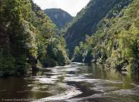 Serenity Reach, Franklin River, Franklin-Gordon Wild Rivers National Park, Tasmanian Wilderness World Heritage Area.