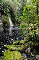 AUSTRALIA, Tasmania, Sir John Falls, Gordon River, Franklin-Gordon Wild Rivers National Park