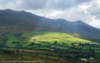 Sunlit field, Macgillycuddy's Reeks, County Kerry, Ireland