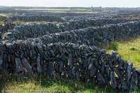 Stone walled fields, Inis Meain, Aran Islands, County Galway, Ireland