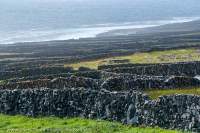 Stone walled fields, Inis Meain, Aran Islands, County Galway, Ireland