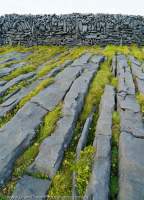 Grikes (fissues) in limestone pavement, Inis Meain, Aran Islands, County Galway, Ireland